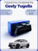 Подмотка спидометра Geely Tugella
